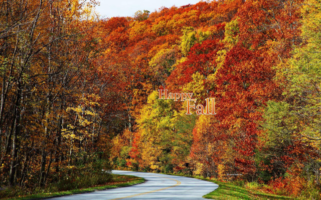 Fall road trees colors happy free wallpaper - medium preview image