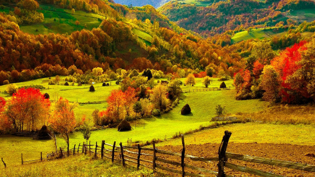 Mountain valley autumn fence trees #2 free wallpaper - medium preview image