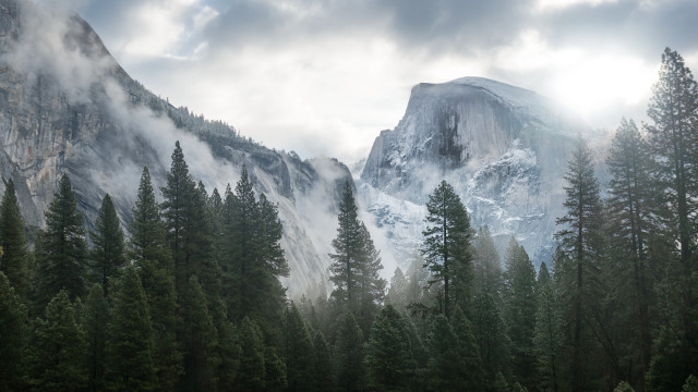 Mountain forest clouds sky trees free wallpaper - medium preview image