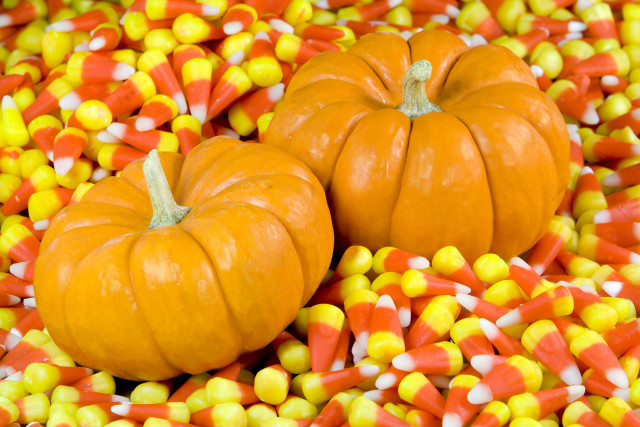 Pumpkins candy corn table background free wallpaper - medium preview image