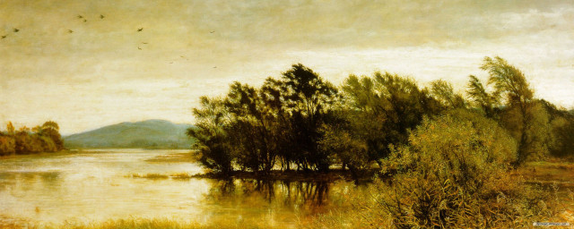 Lake trees hill bird flying free wallpaper - medium preview image