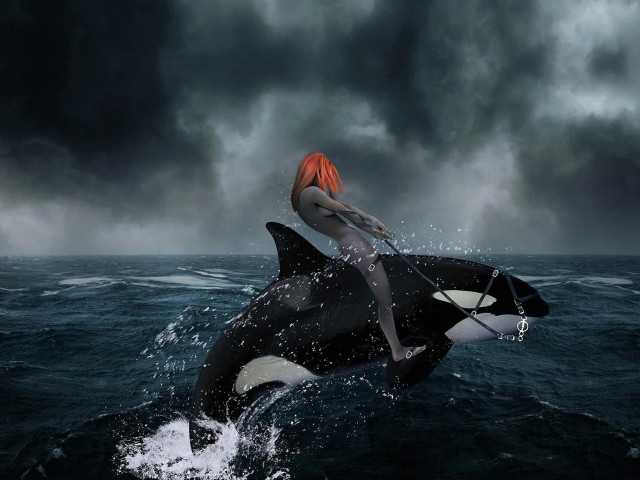 Woman riding whale ocean cloudy free wallpaper - medium preview image