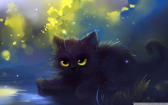 Black cat glowing eyes water free wallpaper - medium preview image