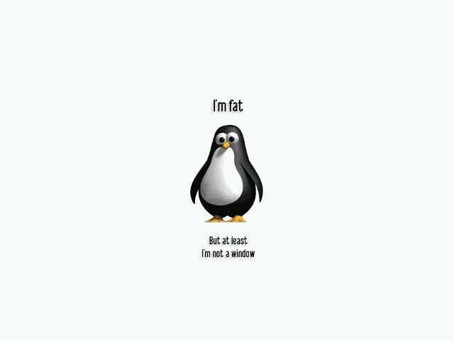 Penguin caption imt not bad free wallpaper - medium preview image