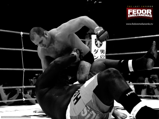Man wrestling man ring referee free wallpaper - medium preview image