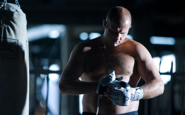Man shirt boxing glove punching free wallpaper - medium preview image