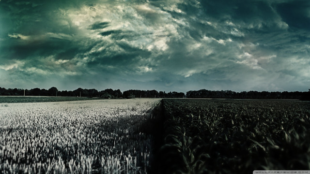 Cloudy sky field grass trees free wallpaper - medium preview image