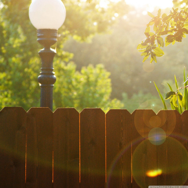 Light pole fence tree sunshine free wallpaper - medium preview image