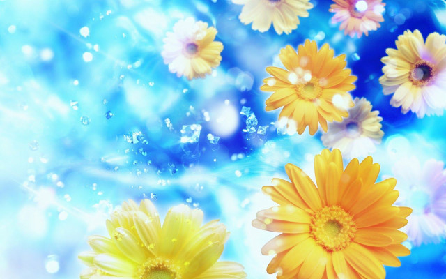 Yellow flowers floating bubbles water free wallpaper - medium preview image
