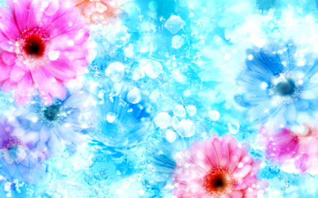 Colorful flower bubbles water droplets free wallpaper - medium preview image