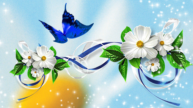 Blue bird flowers starry sky free wallpaper - medium preview image