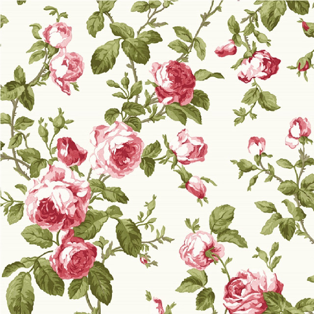 White background pink red roses free wallpaper - medium preview image
