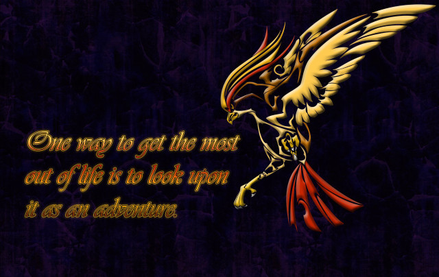 Bird quote image pic beautiful free wallpaper - medium preview image