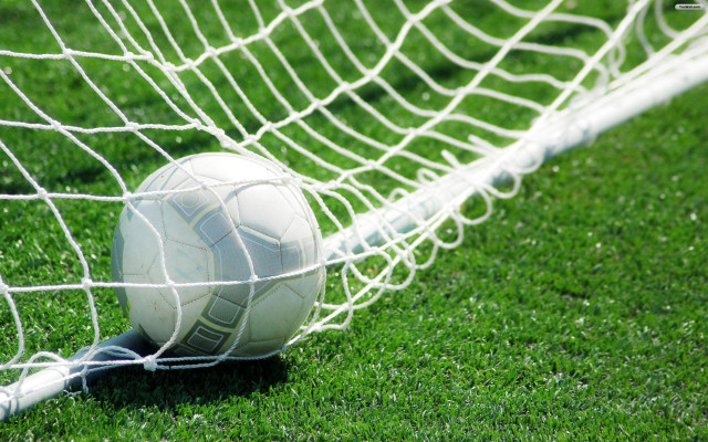 Soccer ball net grass field free wallpaper - medium preview image