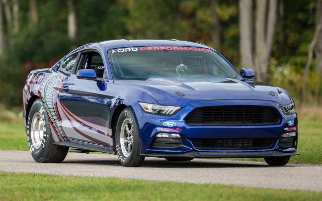 Blue mustang driving road trees #3 free wallpaper - medium preview image
