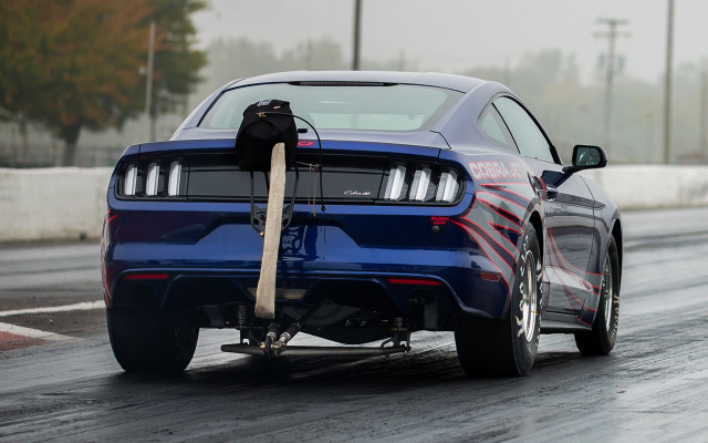 Blue mustang cat hood driving free wallpaper - medium preview image