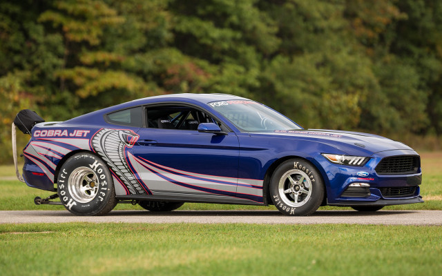 Blue mustang cobra decal road free wallpaper - medium preview image