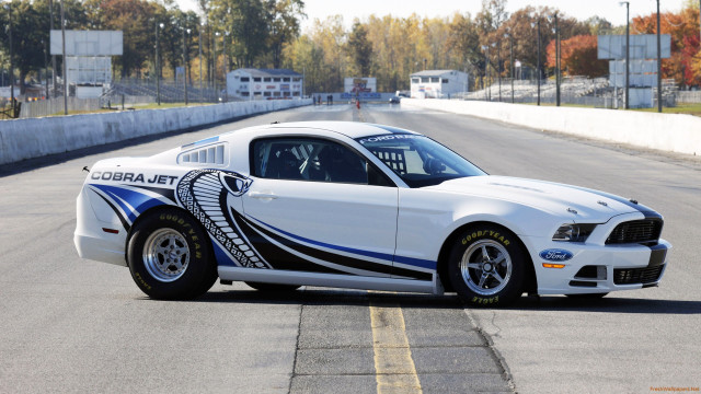 White mustang blue stripe race free wallpaper - medium preview image