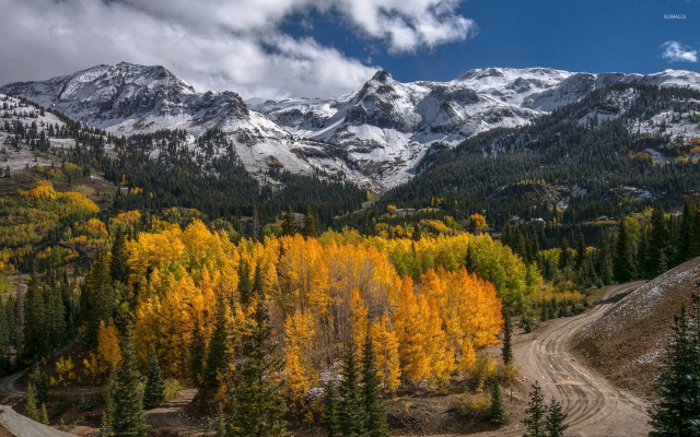 Mountain range dirt road forest #2 free wallpaper - medium preview image