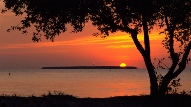 Sunset water tree lighthouse foreground #2 free wallpaper - medium preview image