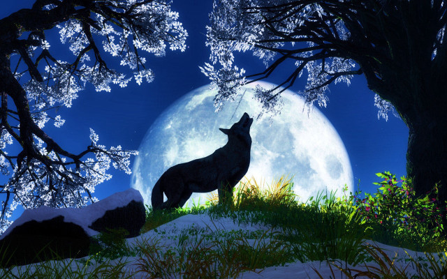 Wolf hill fullmoon snow trees free wallpaper - medium preview image