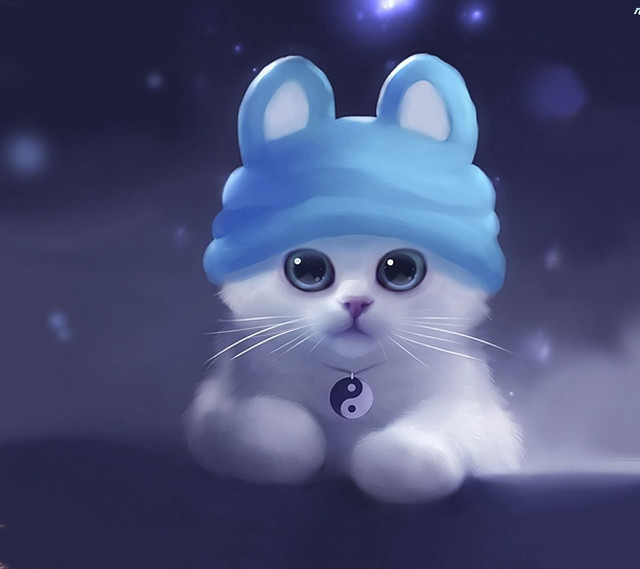 White cat blue hat table free wallpaper - medium preview image