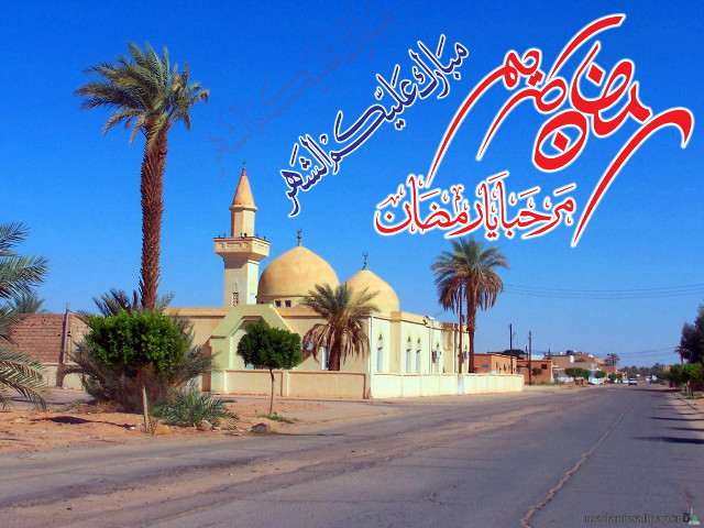 Street sign mosque palm trees free wallpaper - medium preview image