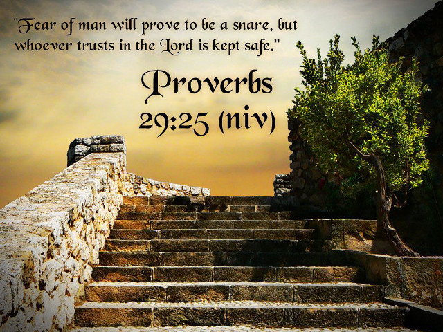 Stone staircase bible verse tree free wallpaper - medium preview image