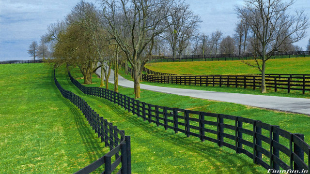 Black fence grassy field road #2 free wallpaper - medium preview image