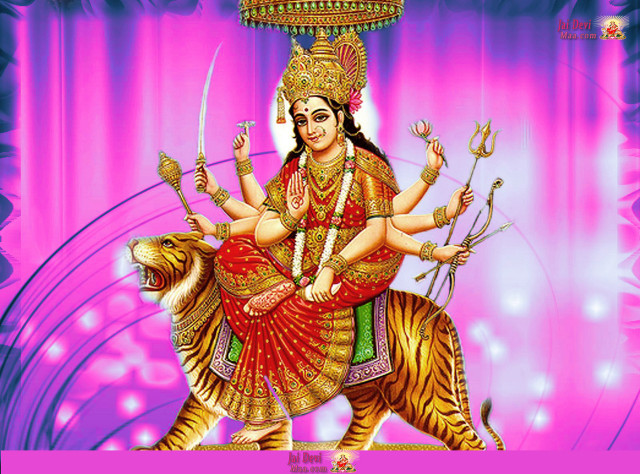 Woman riding tiger pink purple free wallpaper - medium preview image