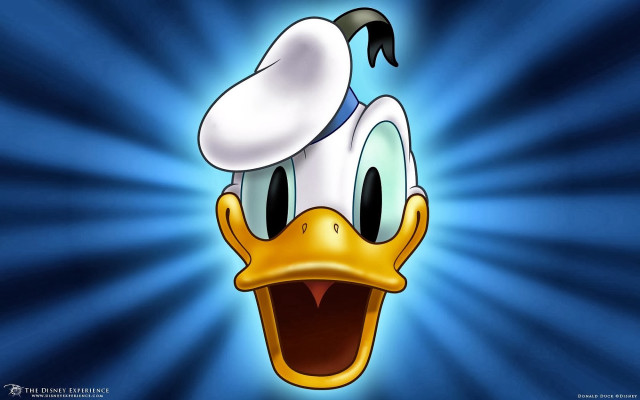 Cartoon duck hat blue background #3 free wallpaper - medium preview image