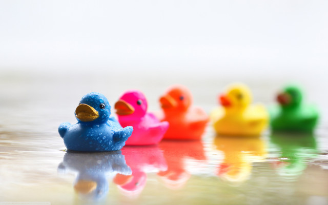 Rubber ducks table reflective surface free wallpaper - medium preview image