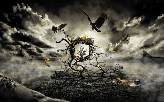 Surreal scene birds tree stump free wallpaper - medium preview image
