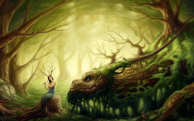 Woman tree stump forest dragon free wallpaper - medium preview image