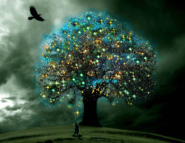 Tree bird sky clouds stars free wallpaper - medium preview image