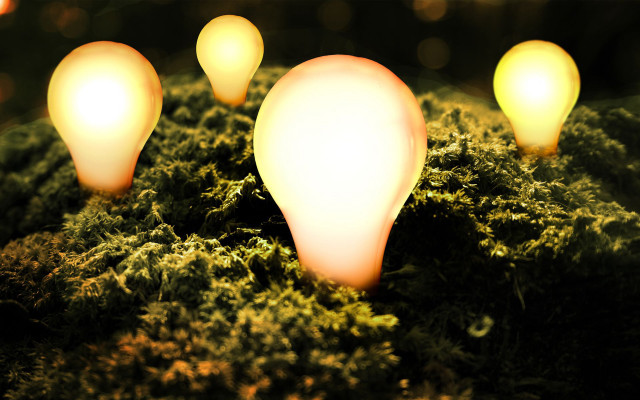 Light bulbs moss ground background #2 free wallpaper - medium preview image