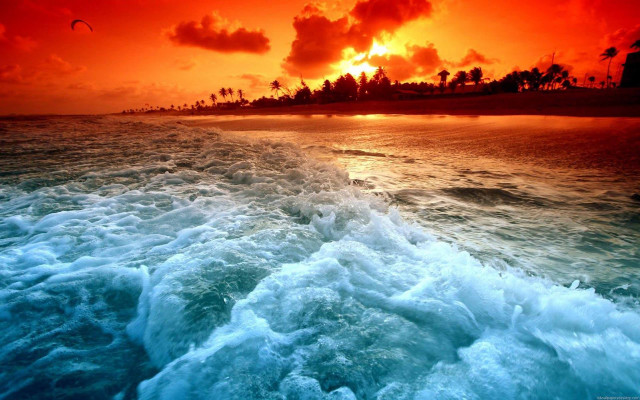 Sunset ocean waves beach palm #3 free wallpaper - medium preview image