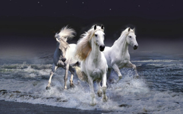 Horses running water night stars free wallpaper - medium preview image