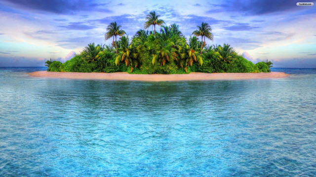 Tropical island palm trees blue #2 free wallpaper - medium preview image