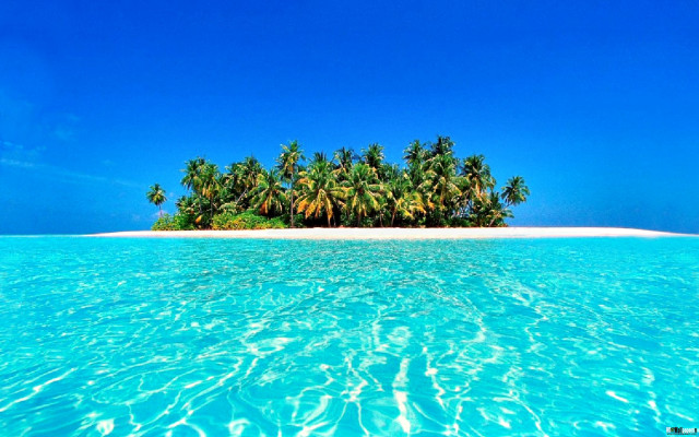 Small island palm trees ocean #12 free wallpaper - medium preview image