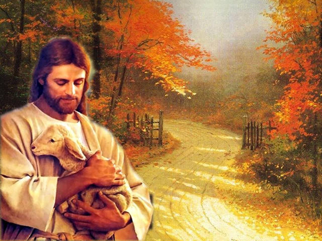 Jesus holding lamb forest path free wallpaper - medium preview image