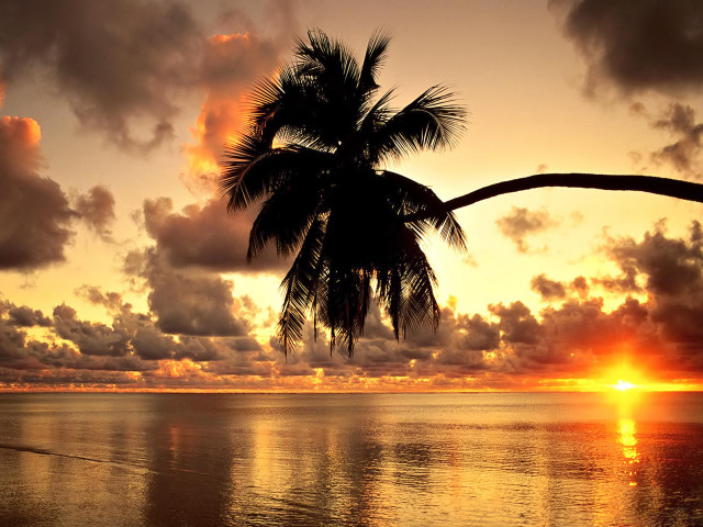 Palm tree sunset ocean clouds #2 free wallpaper - medium preview image