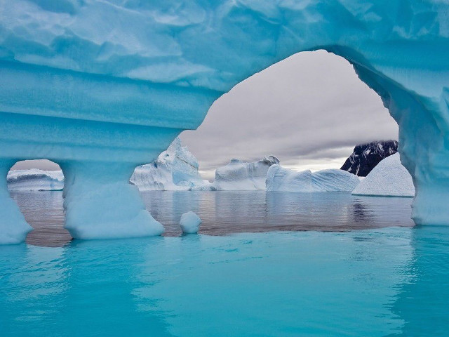 Polar bear swimming iceberg melting free wallpaper - medium preview image