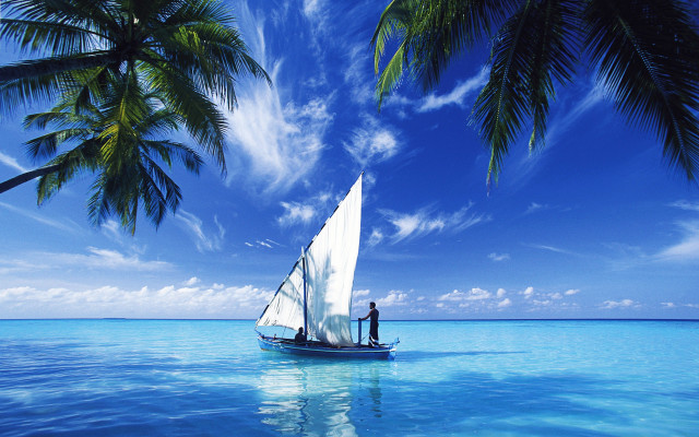 Sailboat man ocean palm trees #3 free wallpaper - medium preview image