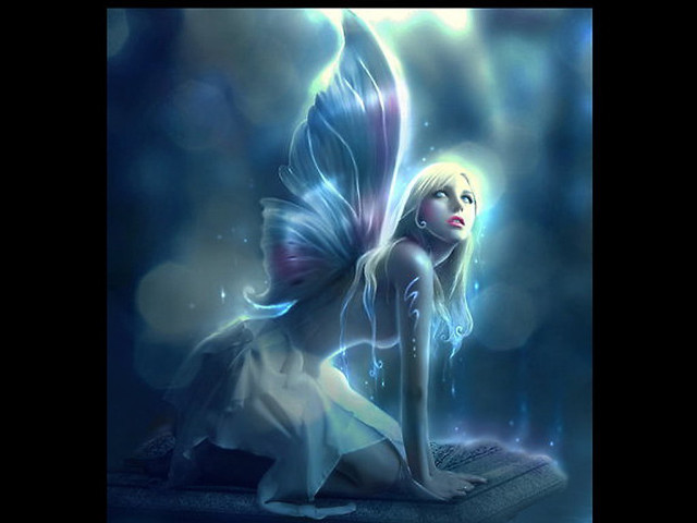 Fairy platform butterfly back wings free wallpaper - medium preview image