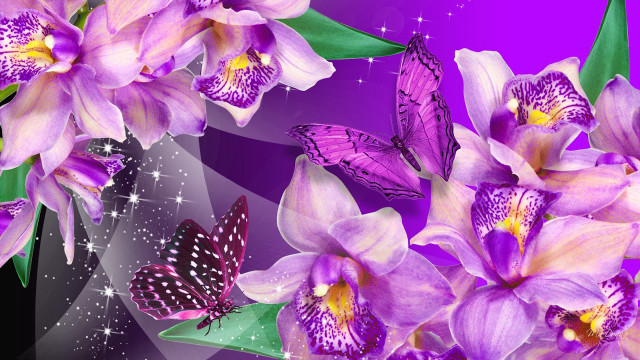 Purple flower butterflies background stars free wallpaper - medium preview image