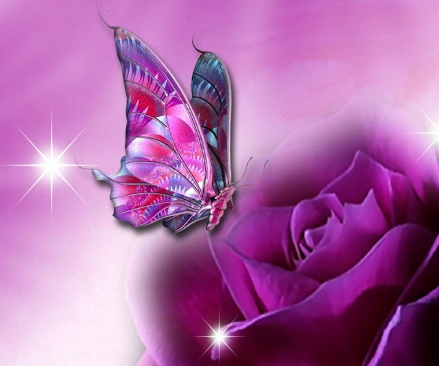 Pink rose butterfly stars background free wallpaper - medium preview image