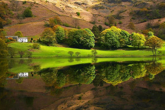 Lake surrounded lush green hillside free wallpaper - medium preview image