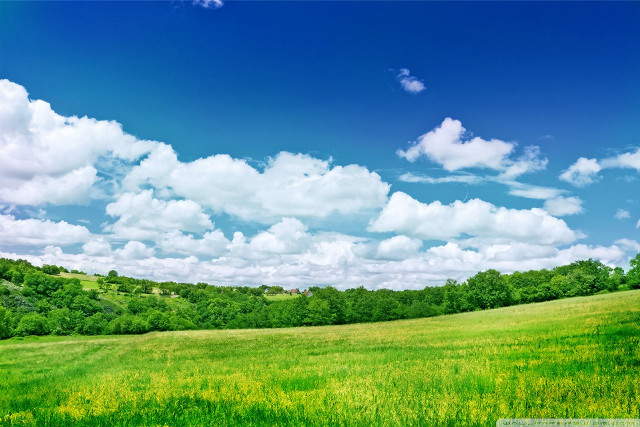 Field sky clouds trees green free wallpaper - medium preview image
