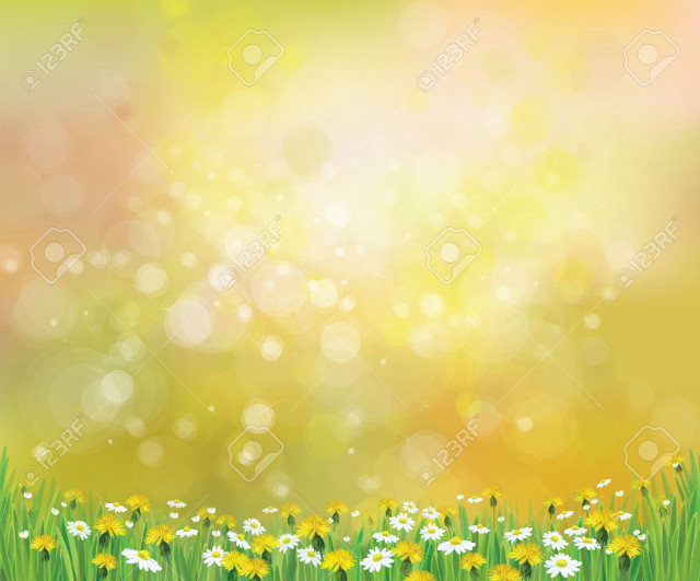Beautiful spring background daisies grass free wallpaper - medium preview image